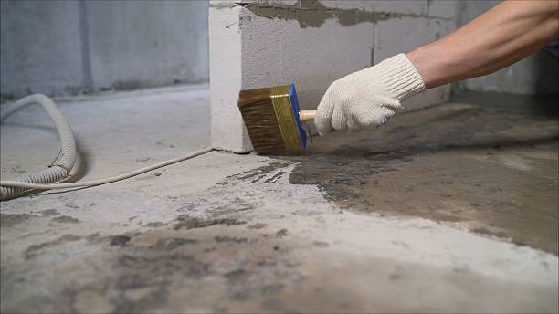 24/7 Emergency Crawl Space Encapsulation experts in Daviston, AL